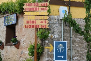 wir kommen unserem Ziel näher