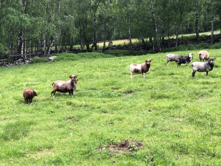 A875C71B-1828-4395-9DE2-CE9F6EC687C5